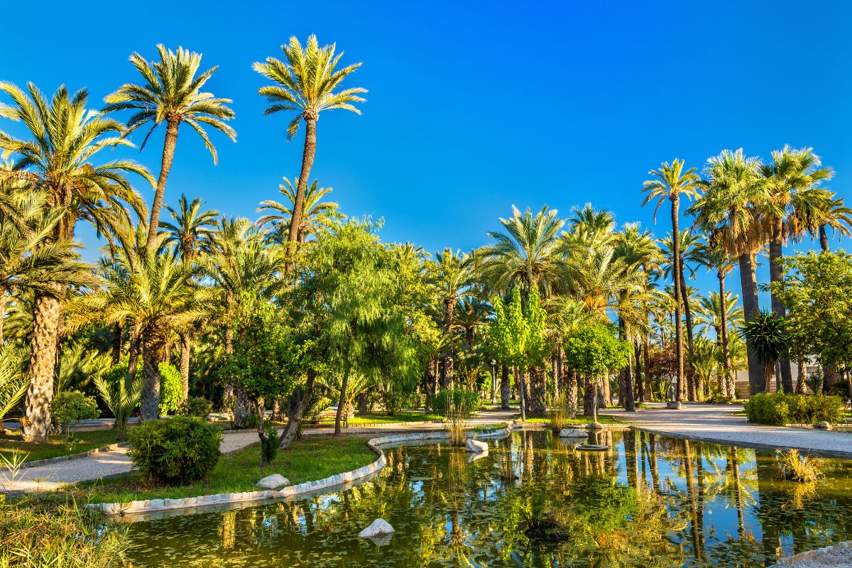 Jardines para visitar en la provincia de Alicante